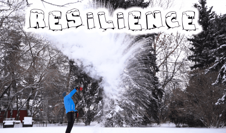 Resilience