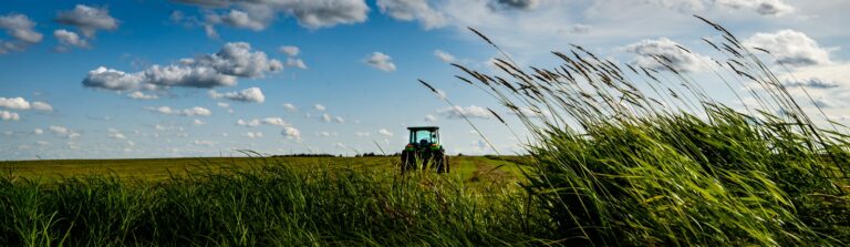 Cultivating Resilience in Your Team: A Leader’s Guide to Navigating Uncertainty