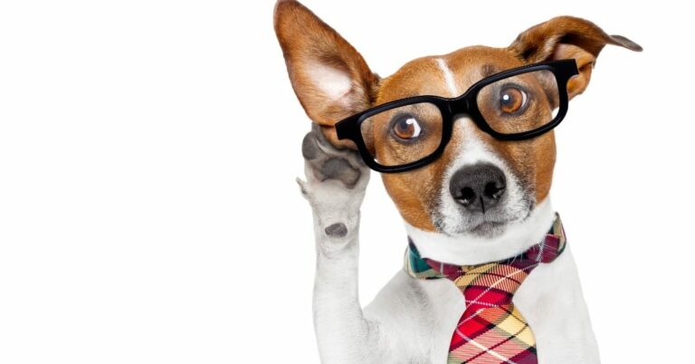 Cultivating Non-Judgmental Listening Skills: A Guide for Male Leaders in the Workplace